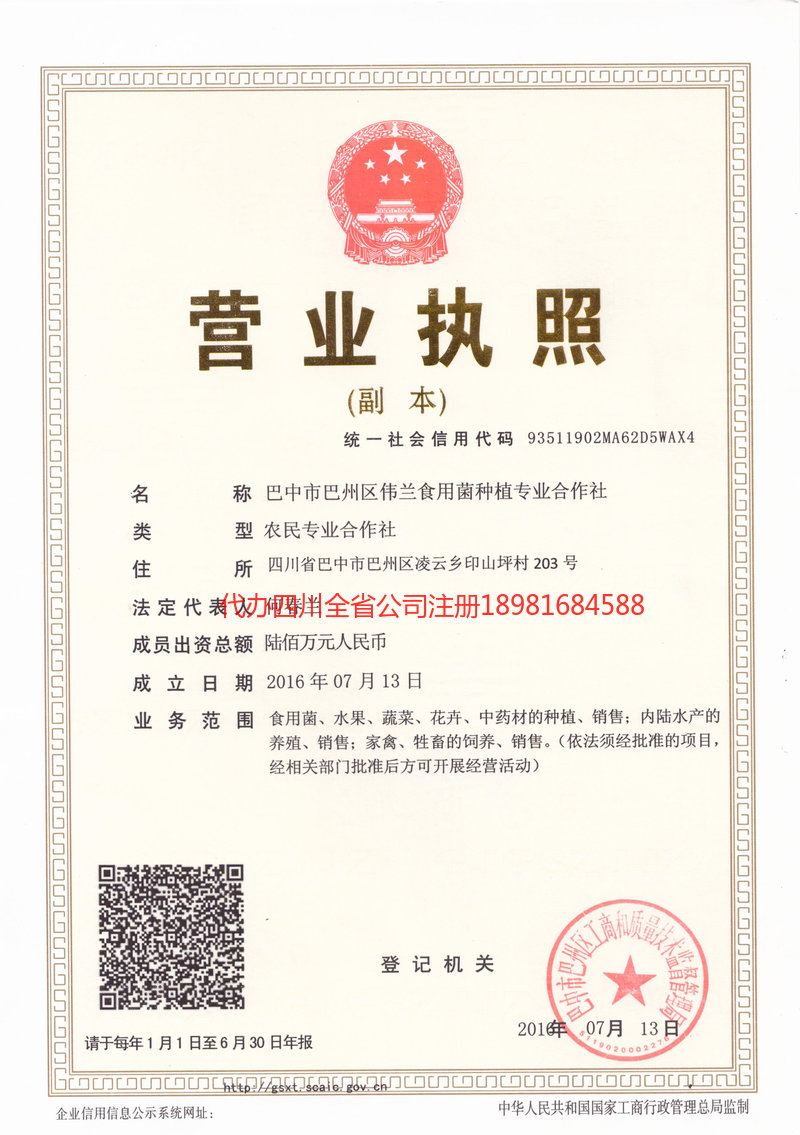 沙河沙河伟兰食用菌种植专业合作社